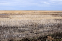 Светлинский район