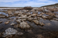 Светлинский район