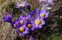 Светлинский район