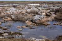 Светлинский район