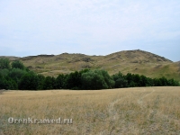 Гайский район