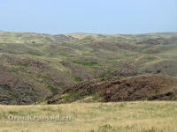 Гайский район