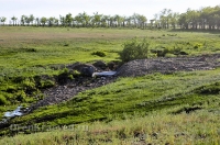 Гайский район