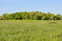 Гайский район