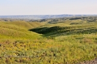 Гайский район