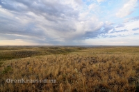 Гайский район