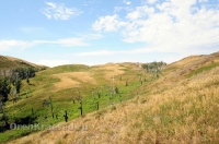 Гайский район