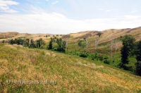 Гайский район