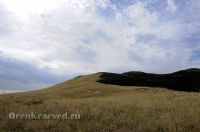 Гайский район