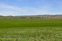 Городской округ Новотроицк