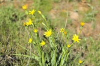 Городской округ Новотроицк