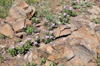 Городской округ Новотроицк