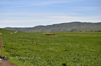 Городской округ Новотроицк