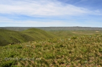 Городской округ Новотроицк