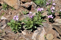 Городской округ Новотроицк