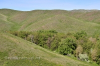 Городской округ Новотроицк