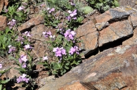 Городской округ Новотроицк