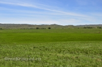 Городской округ Новотроицк