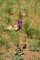 Городской округ Новотроицк