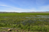 Городской округ Новотроицк