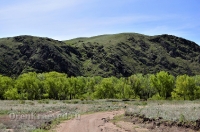 Городской округ Новотроицк