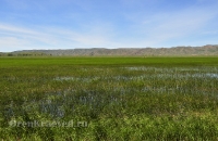 Городской округ Новотроицк