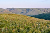 Городской округ Новотроицк