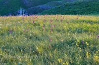 Городской округ Новотроицк