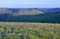 Городской округ Новотроицк