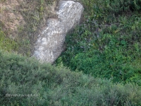 Карстовая воронка близ деревни Райманово. 2016 год