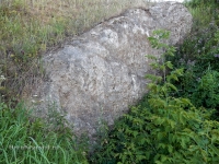 Карстовая воронка близ деревни Райманово. 2016 год