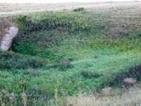 Саракташский район