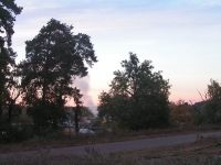 Бузулукский бор