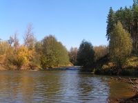 Бузулукский бор