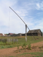 Бузулукский бор