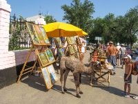 Город Соль-Илецк