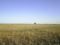 Степь у села Покровка