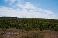 Село Болотовск