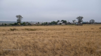 Село Болотовск