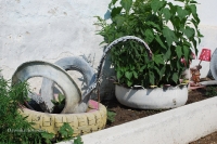 Посёлок Красный Огородник