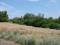 Село Студенцы. Июль 2010 года