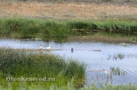 Посёлок Слюдяной