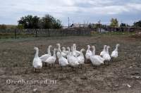 Посёлок Слюдяной