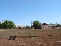 Село Орловка. Июль 2010 года.