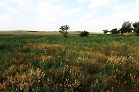 Село Чаган