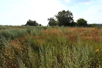 Село Чаган. 2011 год