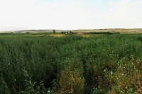 Село Чаган. 2011 год