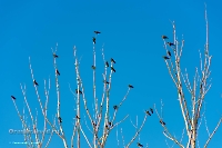 Село Подгорное. Июнь 2023 года