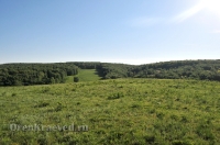 Деревня Верхненазаргулово