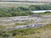 Посёлок Речной. Август 2023 года